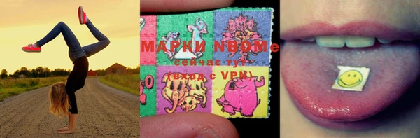 прущие грибы Сосновый Бор